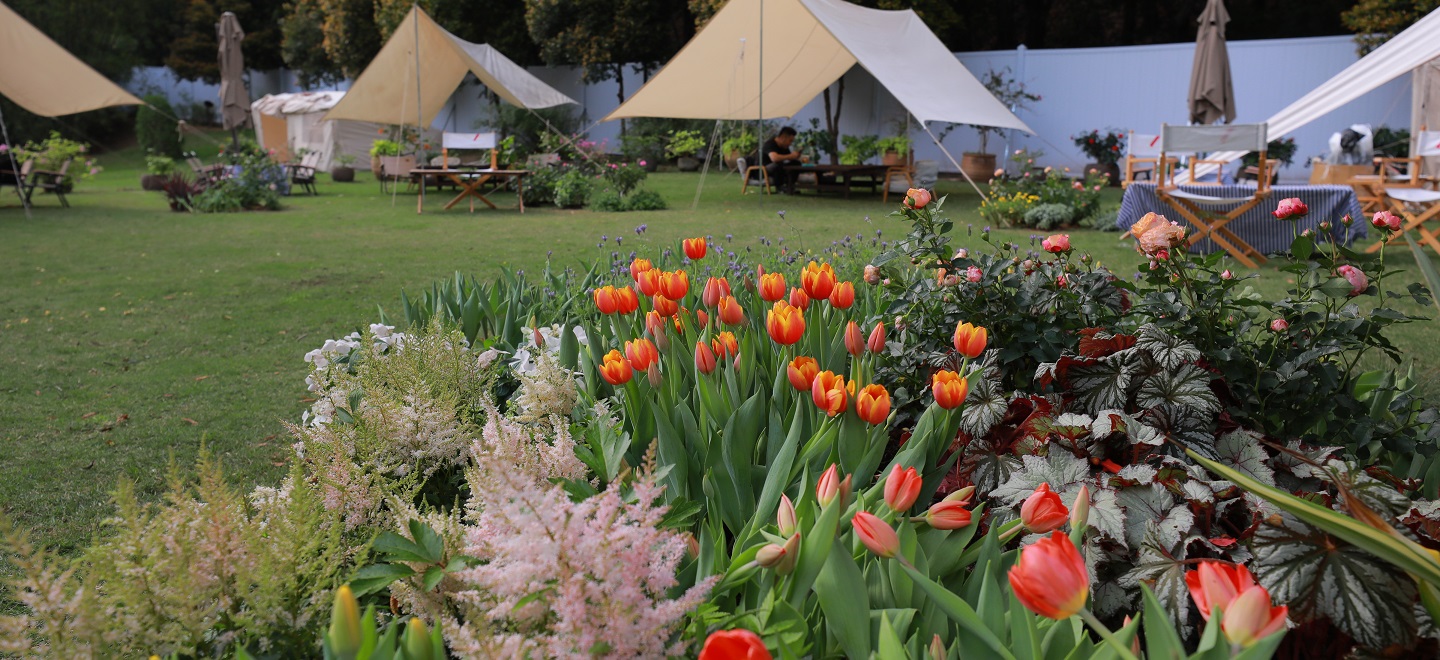 Blossoming Camp Area