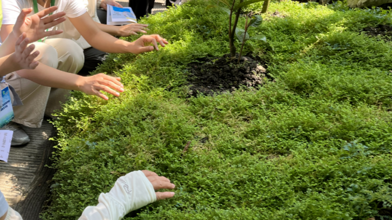 预约丨植物盲探：与AI共赴阴生园的感官奇境