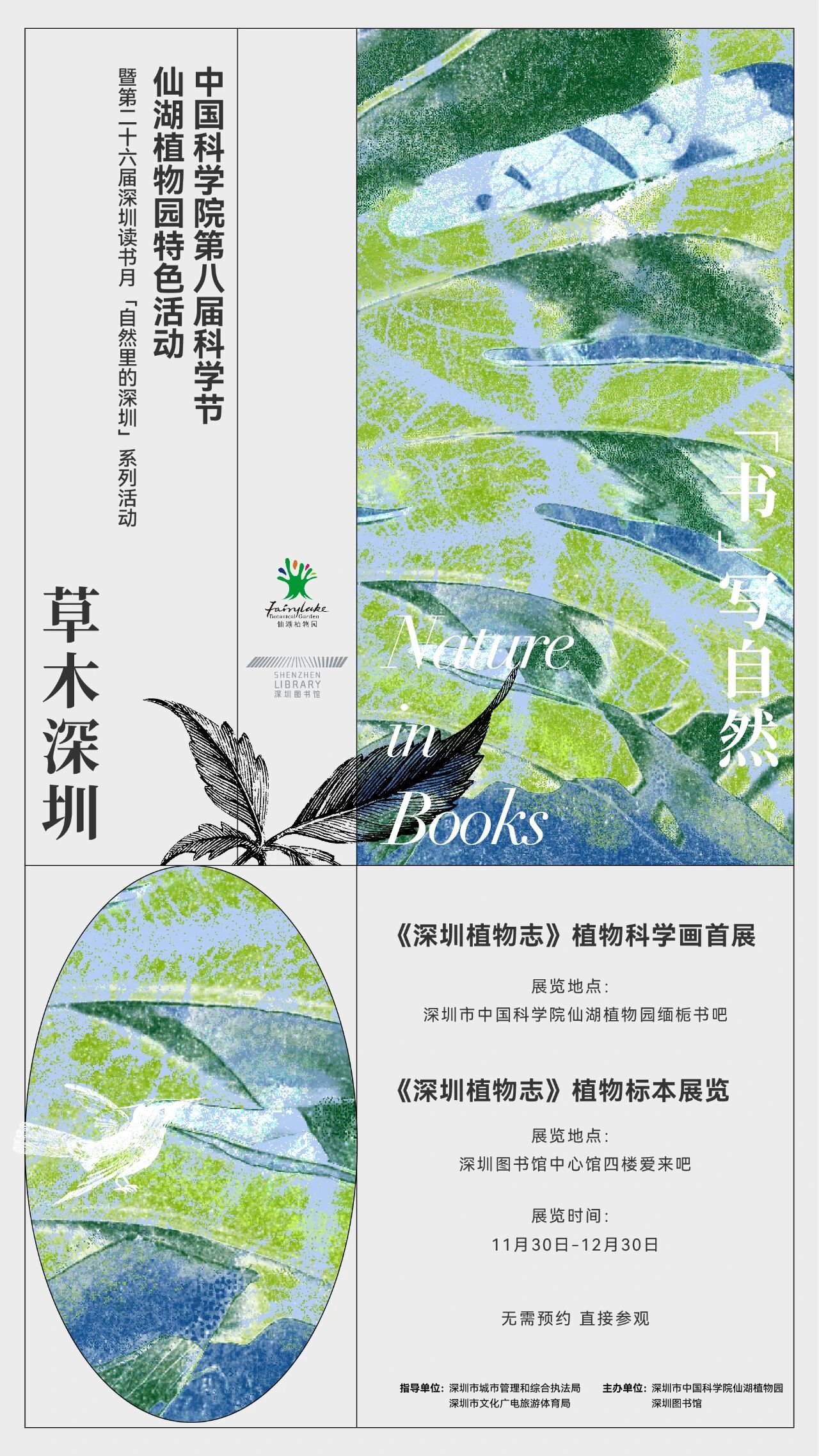 草木有灵，笔墨传神｜《深圳植物志》双展联动：科学画与标本的对话