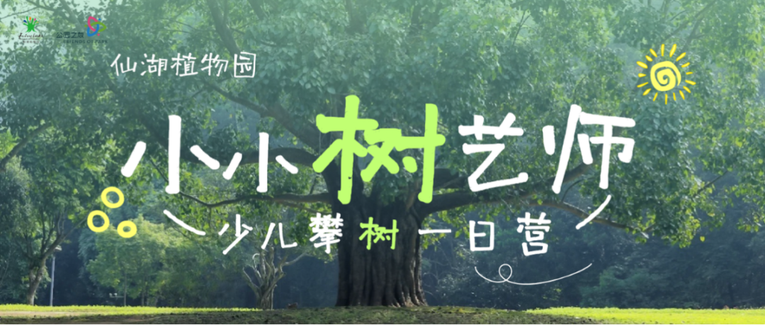 周末“上树”计划！小小树艺师成长营，解锁与大树并肩的奇妙体验！