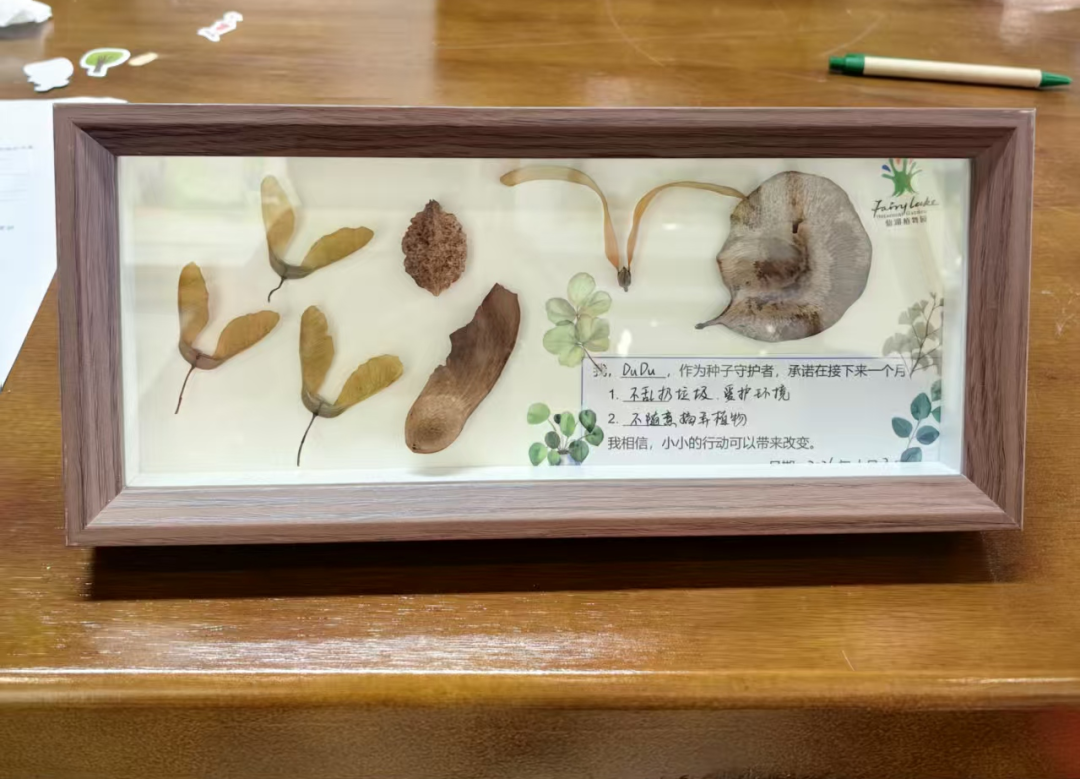 招募「种子守护者」！一起解开5种神秘种子的生命密码，制作你的保护宣言！