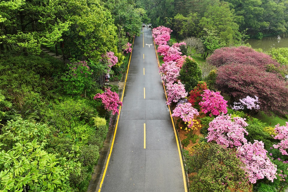 花间阡陌，霞蔚山水