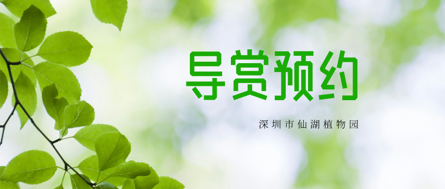 导赏预约丨暑假倒计时，先来仙湖植物园上一堂自然课