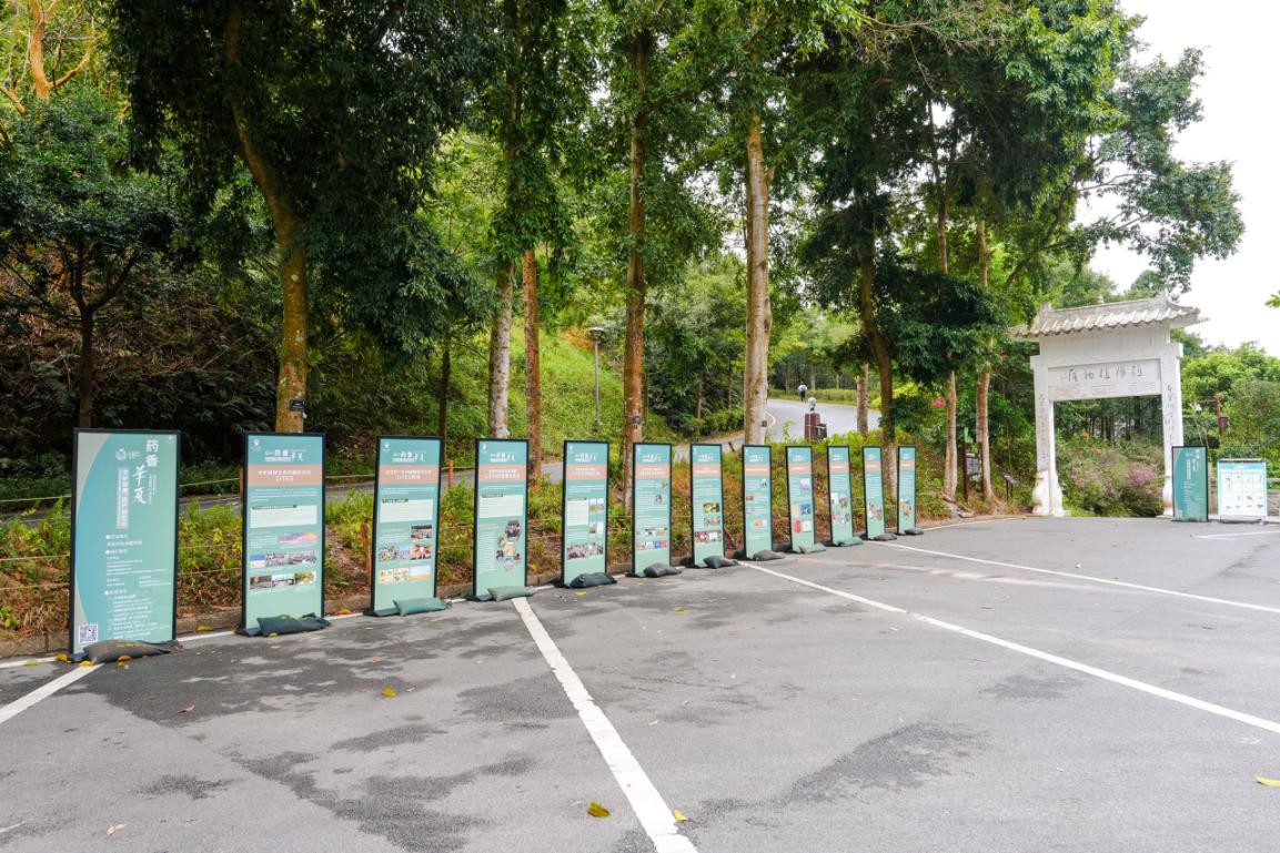 仙湖植物园成功举办2026年世界野生动植物日中国植物园联合特展