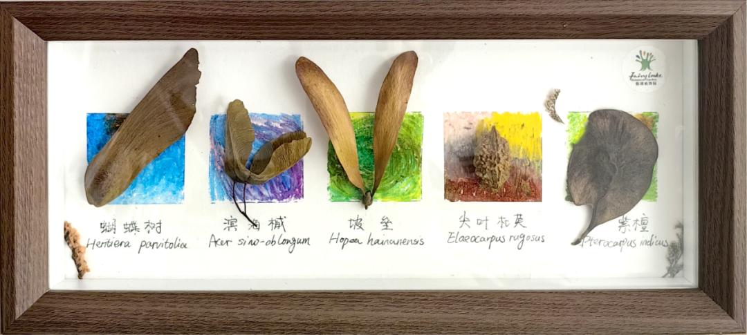 课程报名丨每一颗种子,都藏着一个关于远方的故事