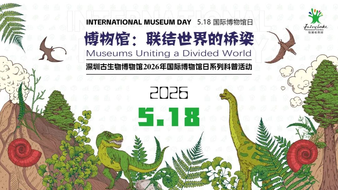 国际博物馆日活动丨刷开化石泥沙，看见亿万年前的生命